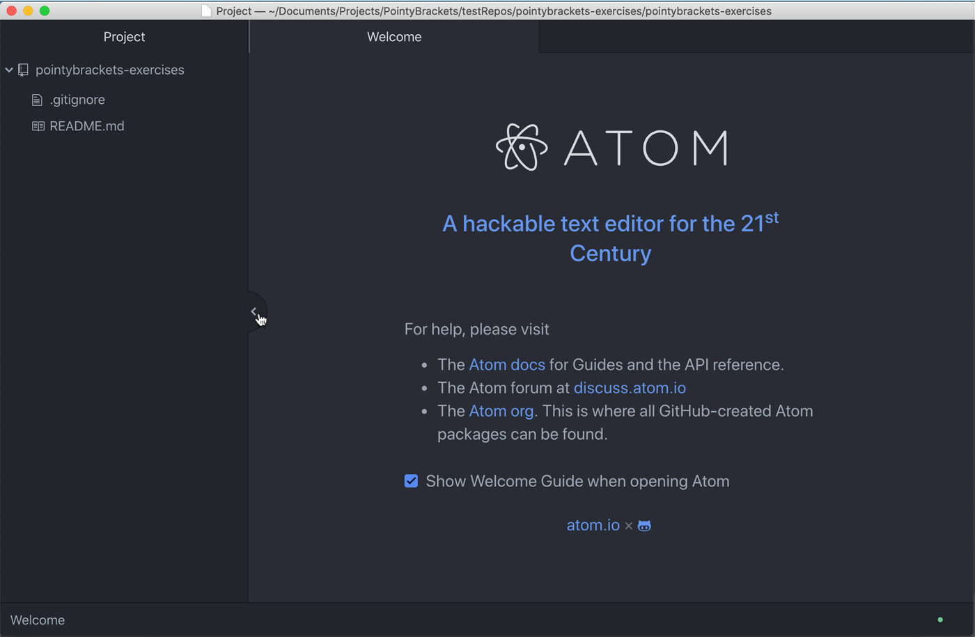 Hide the project panel in Atom Text Editor